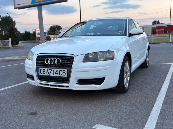 Audi A3 1.9 TDI 105 hp Sportback - Car24.bg Audi A3 1.9 TDI 105 hp Sportback