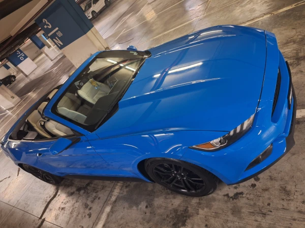 Ford Mustang 