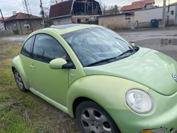 VW Beetle Beetle 