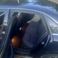 Audi A4 - 2500 € / 4889.57 лв. - 31229161 11